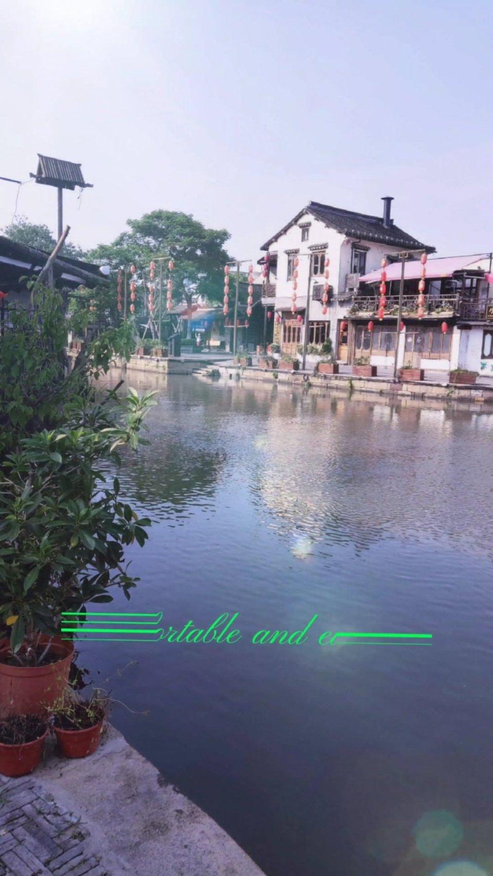 探索知识星球平台,加入素菜丸子怎么做,走进知识的海洋!